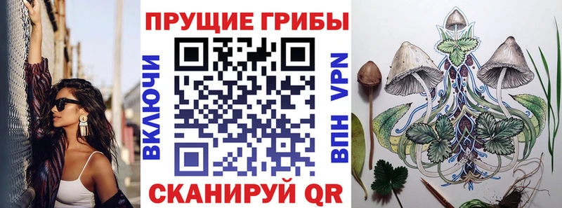наркотики  OMG маркетплейс  Галлюциногенные грибы прущие грибы  Алейск 
